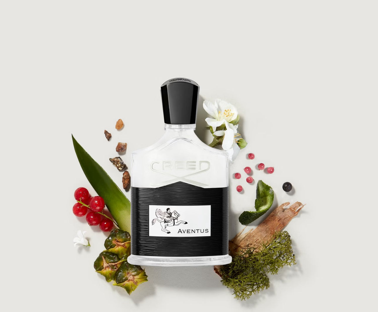 CREED - Aventus