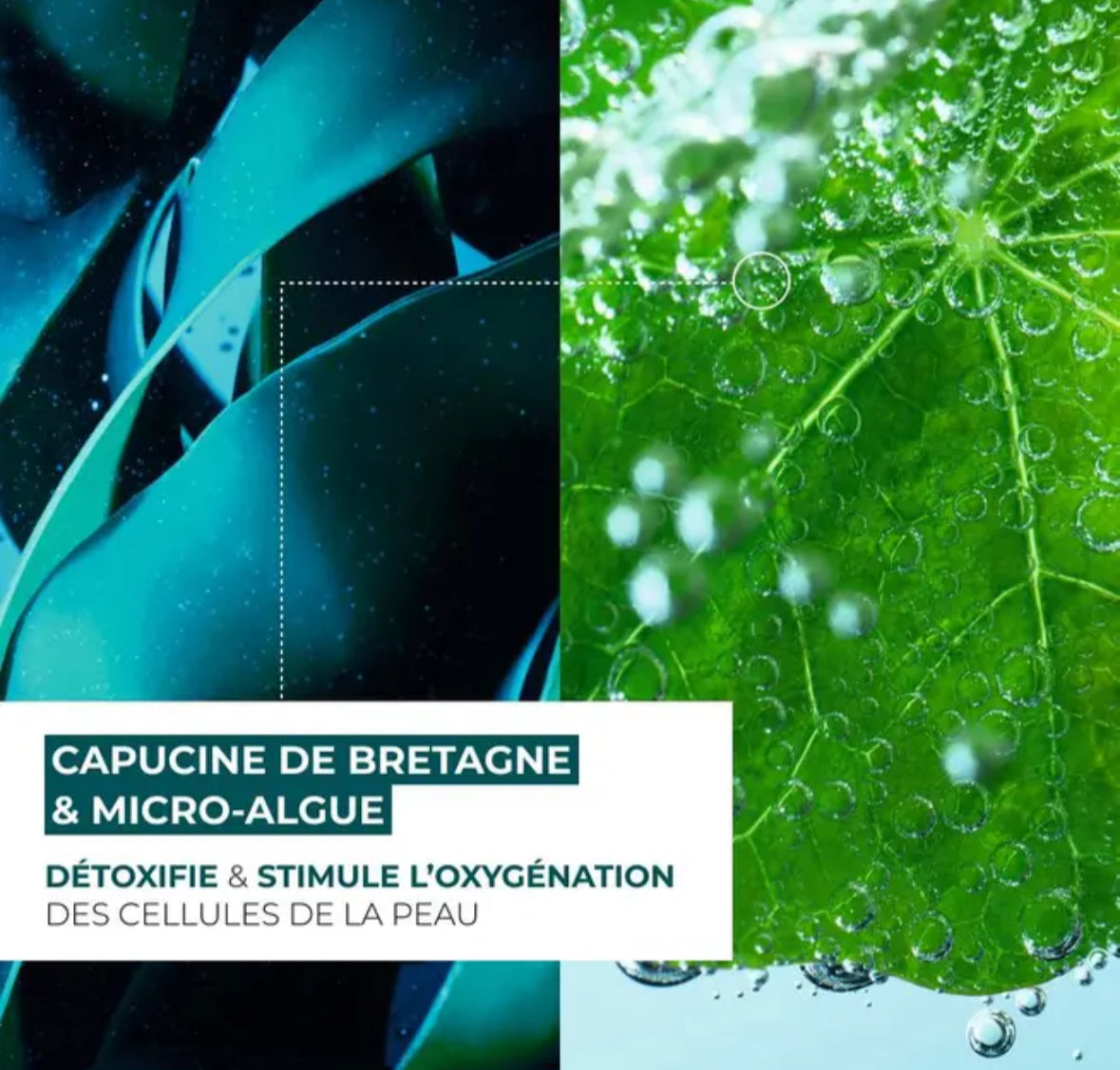 Yves Rocher - Melatonin Effect Night Recovery Serum