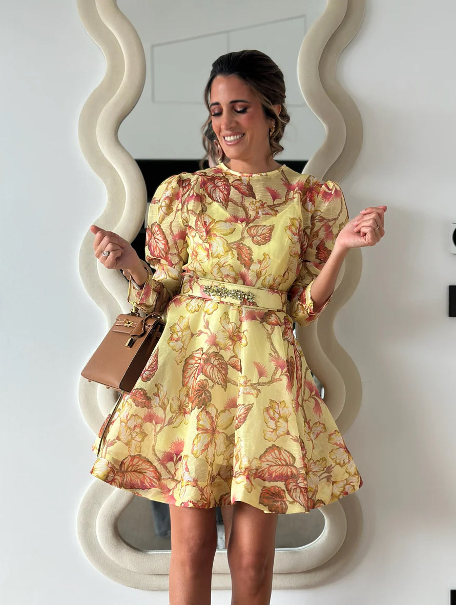 Robe Zimmermann Silla
