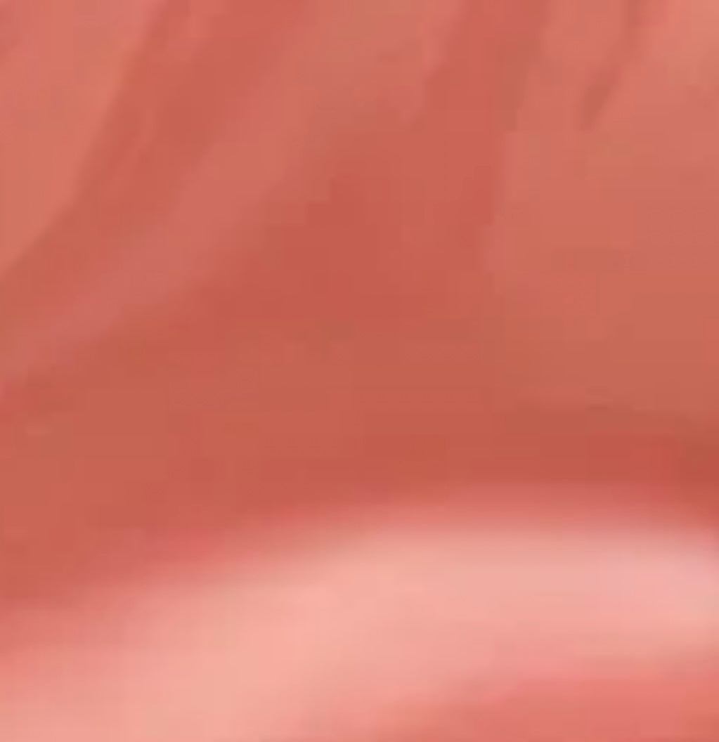 CHARLOTTE TILBURY- PILLOW TALK BIG LIP PLUMPGASM